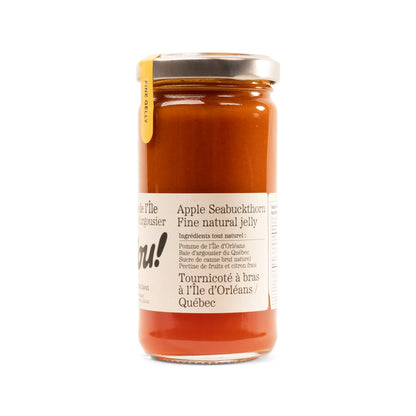 Tartinade de pomme argousier