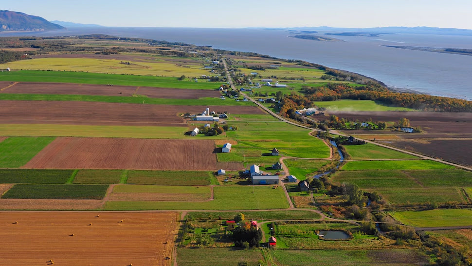 Nos histoires sur l'Île d'Orléans